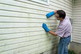 Best Fiber Cement Siding Installation  in Krugerville, TX